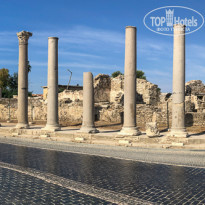 фото из отзыва ID 2739454