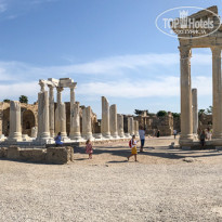 фото из отзыва ID 2739454