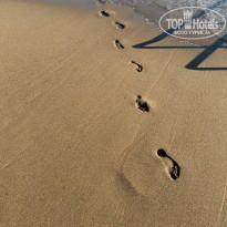 фото из отзыва ID 2739453