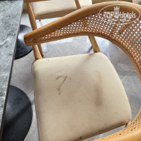 фото из отзыва ID 2739461