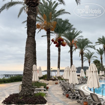 фото из отзыва ID 2739461