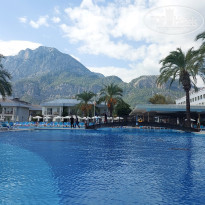 фото из отзыва ID 2739468