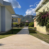 фото из отзыва ID 2739468