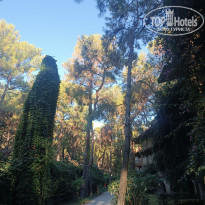 фото из отзыва ID 2737818