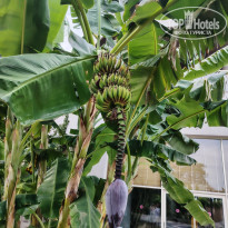 фото из отзыва ID 2739503