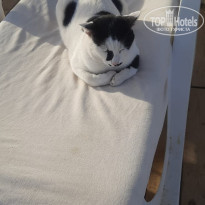 фото из отзыва ID 2737818