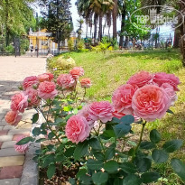 фото из отзыва ID 2739509