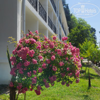 фото из отзыва ID 2739509