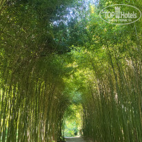 фото из отзыва ID 2739509