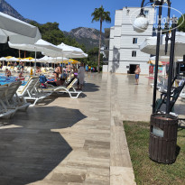 фото из отзыва ID 2739511