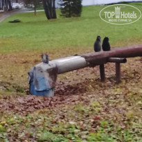 фото из отзыва ID 2739523