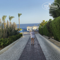 фото из отзыва ID 2739525