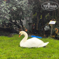 фото из отзыва ID 2739530