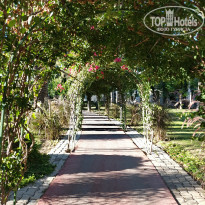 фото из отзыва ID 2739534