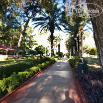 фото из отзыва ID 2739534