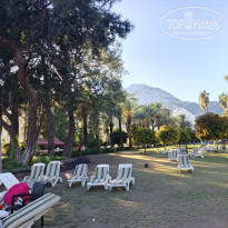 фото из отзыва ID 2739534