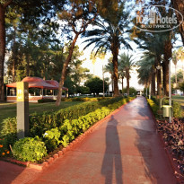 фото из отзыва ID 2739534