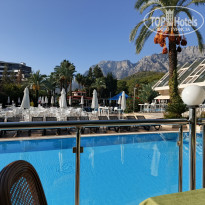 фото из отзыва ID 2739534