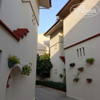 фото из отзыва ID 2739534