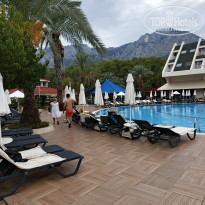 фото из отзыва ID 2739534