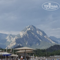 фото из отзыва ID 2739545