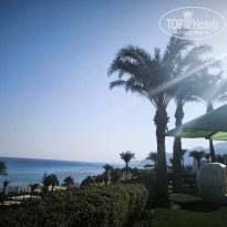 фото из отзыва ID 2739547