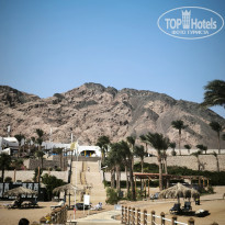 фото из отзыва ID 2739547