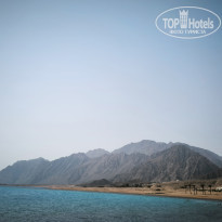 фото из отзыва ID 2739547