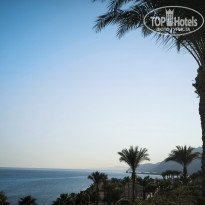 фото из отзыва ID 2739547