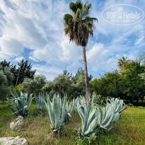 фото из отзыва ID 2739553