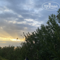 фото из отзыва ID 2739553