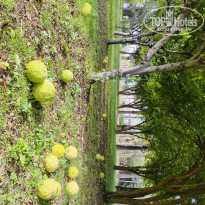 фото из отзыва ID 2739553