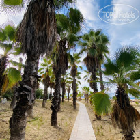 фото из отзыва ID 2739553