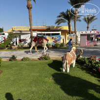 фото из отзыва ID 2739532