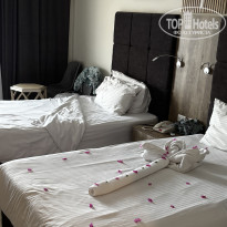 фото из отзыва ID 2739532