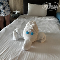 фото из отзыва ID 2739532