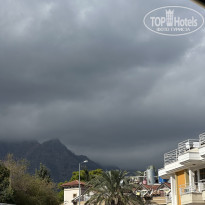 фото из отзыва ID 2739558