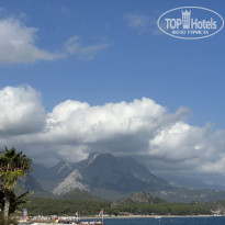 фото из отзыва ID 2739558