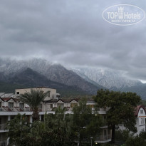 фото из отзыва ID 2739558