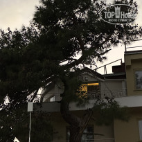 фото из отзыва ID 2739558