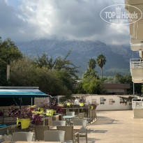 фото из отзыва ID 2739558