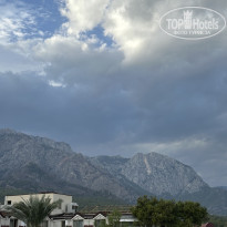 фото из отзыва ID 2739558