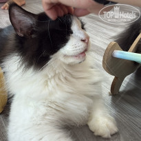 фото из отзыва ID 2739563