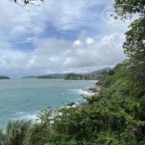 фото из отзыва ID 2739563