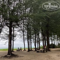 фото из отзыва ID 2739563