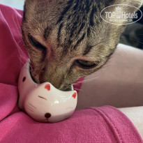 фото из отзыва ID 2739563