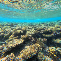 фото из отзыва ID 2739556