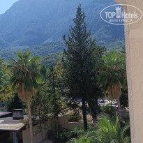 фото из отзыва ID 2739589