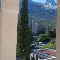 фото из отзыва ID 2739589