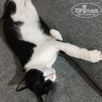 фото из отзыва ID 2739589